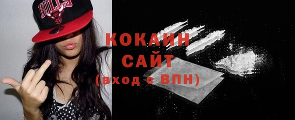 ГАЛЛЮЦИНОГЕННЫЕ ГРИБЫ Гусь-Хрустальный