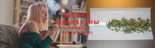 винт Гусиноозёрск
