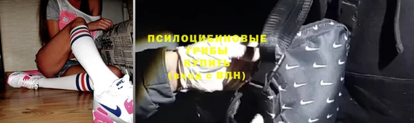 стаф Дмитриев