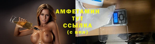 ГАЛЛЮЦИНОГЕННЫЕ ГРИБЫ Гусь-Хрустальный