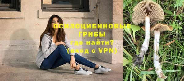 герыч Гусев
