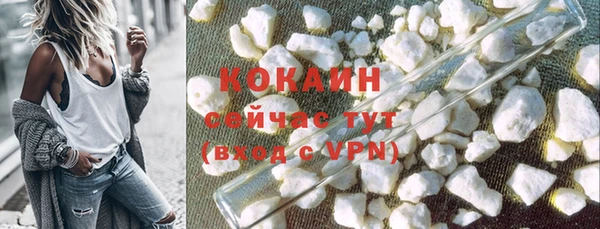 ГАЛЛЮЦИНОГЕННЫЕ ГРИБЫ Гусь-Хрустальный