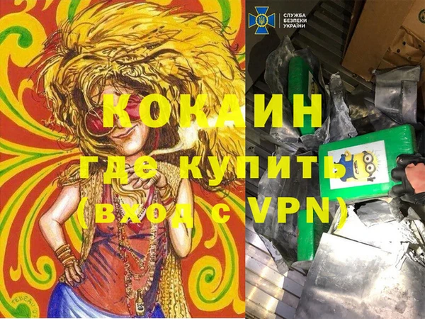 ГАЛЛЮЦИНОГЕННЫЕ ГРИБЫ Гусь-Хрустальный