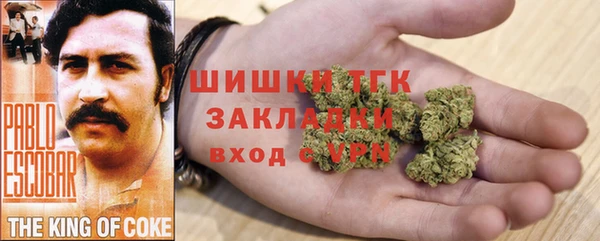 винт Гусиноозёрск