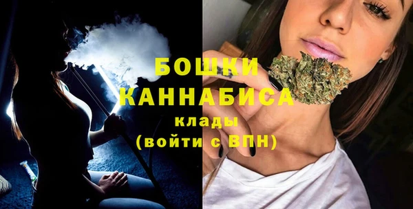 ГАЛЛЮЦИНОГЕННЫЕ ГРИБЫ Гусь-Хрустальный