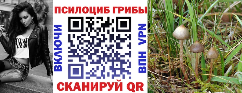 Псилоцибиновые грибы ЛСД  Зарайск 